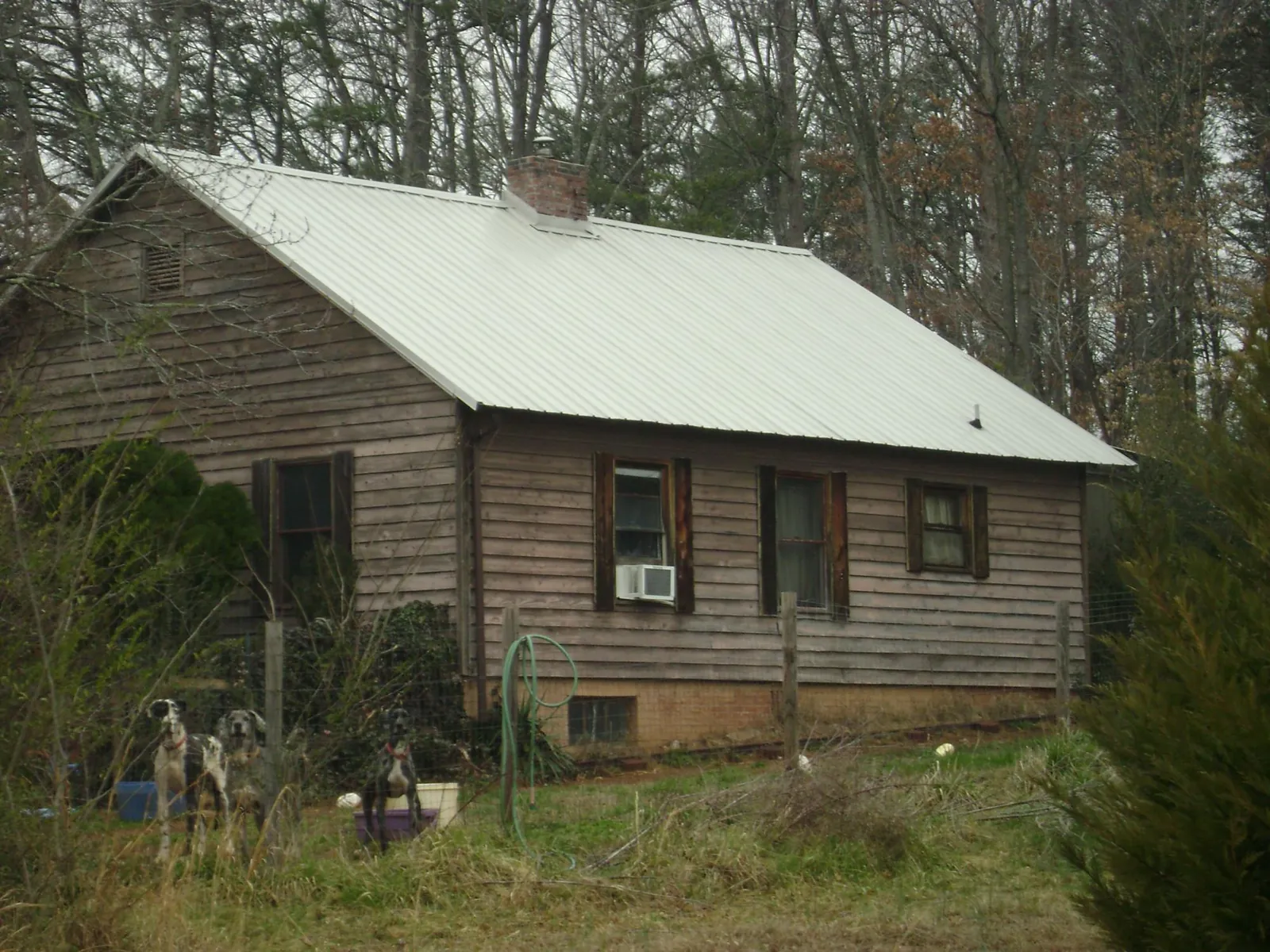 White metal roof on an old wood sided farmhouse, from a Asphalt Shingle Roof Repair job in Dandridge